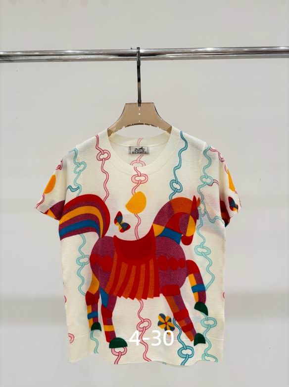 Hermes S-XL 172