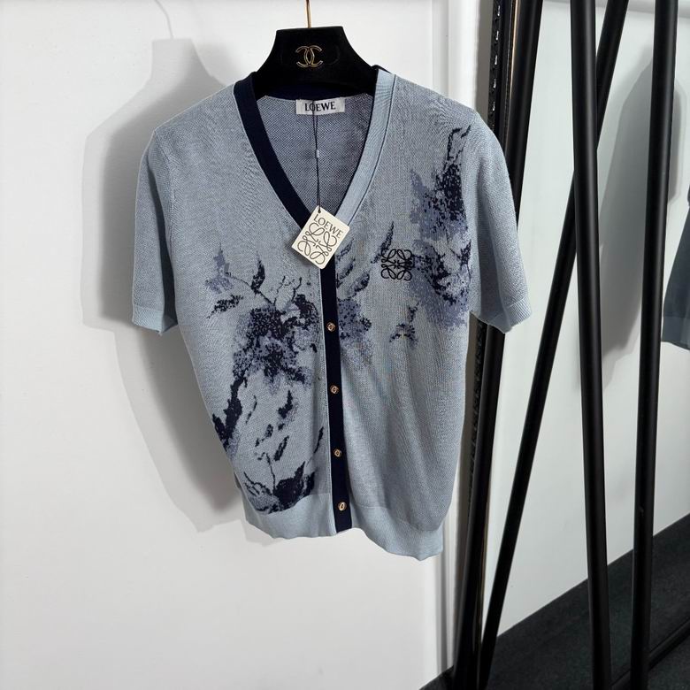 Loewe S-L 283