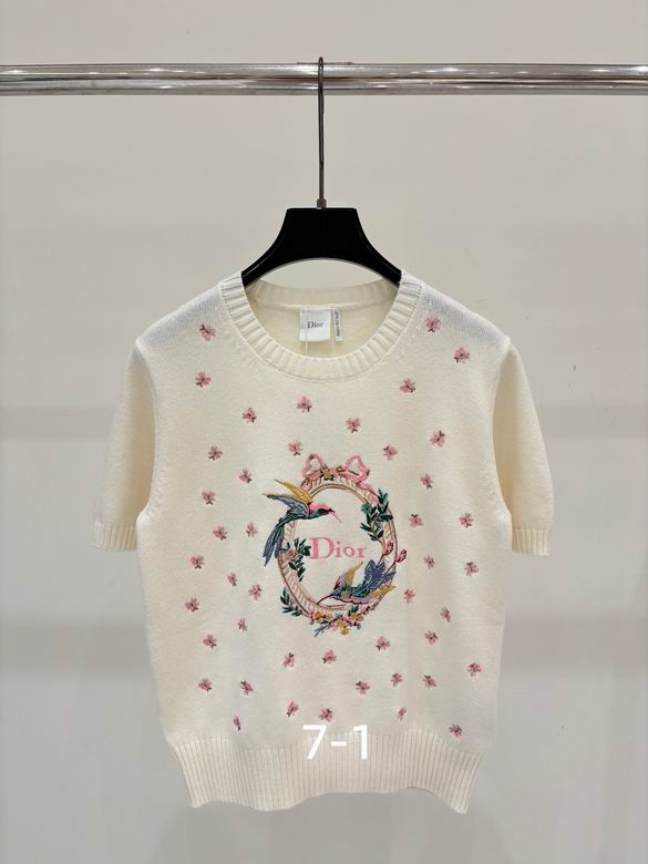 Dior S-XL 240